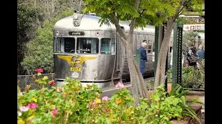 Silver Bullet High Tea Experience