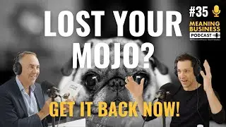 #35 - Lost Your Mojo? Get It Back Now! Meaning Business Podcast