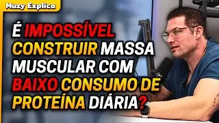 É POSSÍVEL GANHAR MASSA MUSCULAR COMENDO POUCA PROTEÍNA? | Muzy Explica