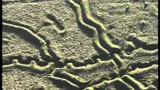 Tenby Penally trenches