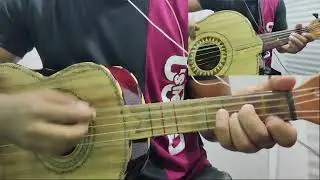 Mariachi los toritos (cucuta) mágicas princesas