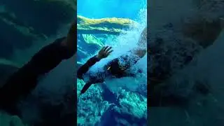 Diving stunts #diving #swimming #fun #gaming #shorts #sports