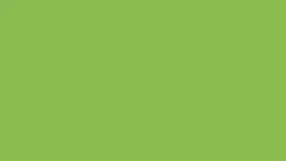 88B04B Pantone 15-0343 