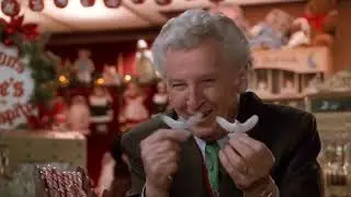 Home Alone 2: Turtle Dove's