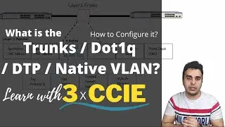 What is Trunk / 802.1q, Native VLAN and DTP with Lab? // Learn with 3xCCIE