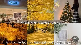 晩秋の日常vlog｜クリスマスツリーの飾りつけ・黄葉&紅葉さんぽ(国立昭和記念公園)と念願の雑貨屋さん(salut!)へ