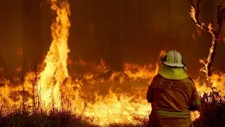 Five total fire bans in place for NSW