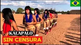 La Tribu Kalapalo | 20 Datos Fascinantes del Amazonas Brasile&ntilde;o