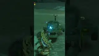 TOTK&rsquo;s most efficient AND fastest land vehicle. #totk #gaming
