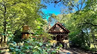 HIGHGATE NATURE WALK: Queen's Wood Cafe, Highgate Wood, Highgate Cemetery