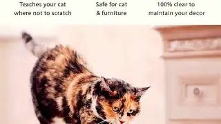 Double sided Anti Scratch Tape for Cats Scratching Prevention