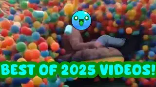 Freeform vs the best of 2025 Daily dose of internet