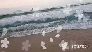 Most beautiful sea wave ...status video