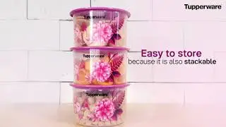 Tupperware Camellia One Touch Canister | Store Food In Style | TupperwareBrands PH