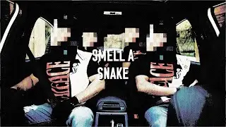 Runitup Eli - Smell A Snake (Official Music Video)