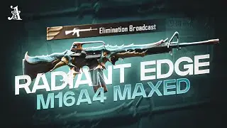 M16A4 Radiant Edge Maxed Out | Fruit Fiesta Set | ArduzAi