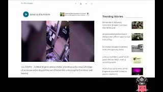 A DOGS FREEDOM #news #dog #vtuber
