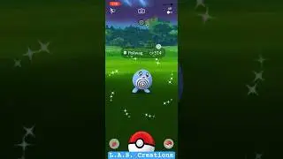 Shiny Poliwag in #pokemongo during #pokemongocommunityday