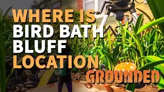Bird Bath Bluff Grounded Explorer Location