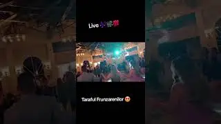 Taraful Frunzărenilor - LIVE 💯 #danielfrunzareanu #music #new #nunta #taraf #party #event #wedding