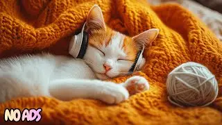 12 Hours Of Dreamy Calming Music for Cats 🐈 Anxiety Relief for Peaceful Sleep 💤 No Ads