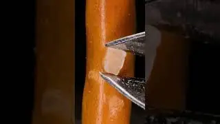 Salted Stick #closeup