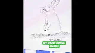 &ldquo;Amazing Rabbit Drawing on Two Legs! 🐇 Step-by-Step Art Tutorial&rdquo; #drawingfur #animalsketching