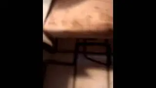 Bed Bug Treatment Monmouth County NJ 732-309-4209 | Inspecting bed bugs and bites rash