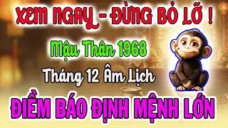 Tử Vi Tuổi Mậu Th&acirc;n 1968 : Điềm B&aacute;o Định Mệnh Sắp Xảy Ra, 8 B&iacute; Mật Để Gi&agrave;u Sang, Ăn Tết Lớn Nhất Đời