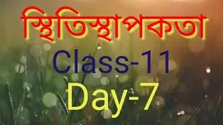 Elasticity (Day-7)