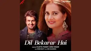 Dil Bekarar Hai