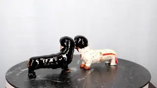Ebros Doxie Collection King Of Rock And Roll Dachshund Dogs Salt Pepper Shakers Set
