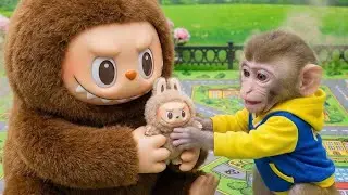 Big Capybara Teddy Monster Steals Monkey&rsquo;s Toys 😱 | Kids Story
