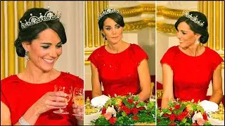 The noble beauty of Catherine, Princess of Wales in the appearance at the royal party.