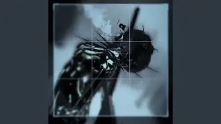Outro