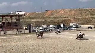 UŞAK BİREYLÜL - ERZURUM DADAŞ ATLI CİRİT 2.DEVRE YARI FİNAL MÜSABAKALARI