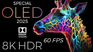 ULTRA BLACK OLED |  DOLBY VISION&trade; Demo