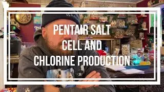 Pentair salt cell and chlorine production