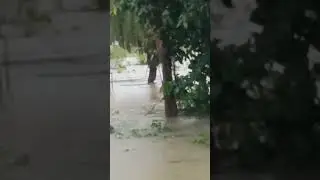 Kamareddy to Yellareddy Rout Blocked By Over Flowing Bridges With Heavy Floods | #kamareddy #floods