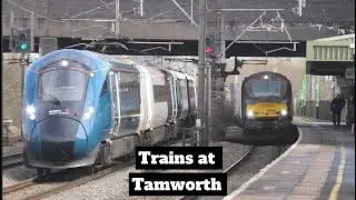 Trains at Tamworth 6/3/25