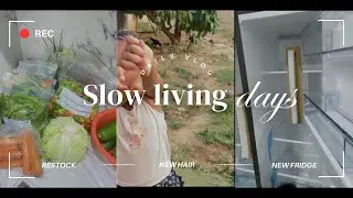 Slow living days | housewife diaries | new fridge, restock + more