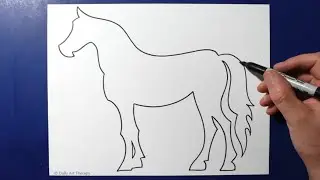 Daily Line Illusion  / 3D Horse Pattern / Spiral Drawing / Satisfying / Art Therapy