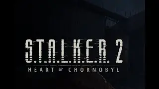 Live cu S.T.A.L.K.E.R. 2 part 13 (Portrait)