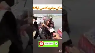 sindh ki awam Kamber shahdādkot #sindh #pakistan #dadu #sehwan #Moro #