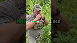 Poison Hemlock: Deadly Plant Growing Near You!