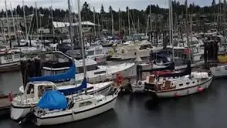 Comox Harbour in the rain