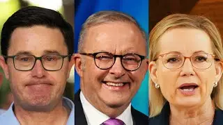 ‘Politically irrelevant’: Coalition split handing ‘absolute gift’ to Anthony Albanese