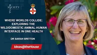 Where Worlds Collide: Exploring the wild/domestic animal-human interface in One Health