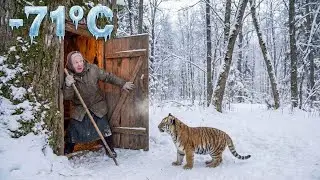 An Elderly 75 Years Old Woman Rescues a Freezing Tiger Cub in Siberia &mdash; A Heart Touching | -71&deg;C