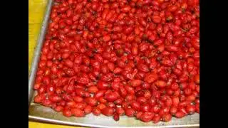 rosehip jam for sale (Hungary)